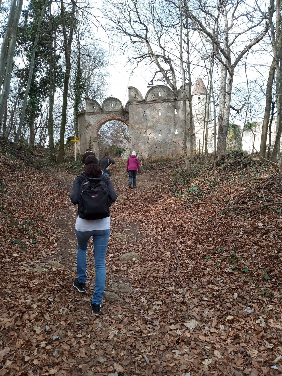 Der "Alte Schlossweg".